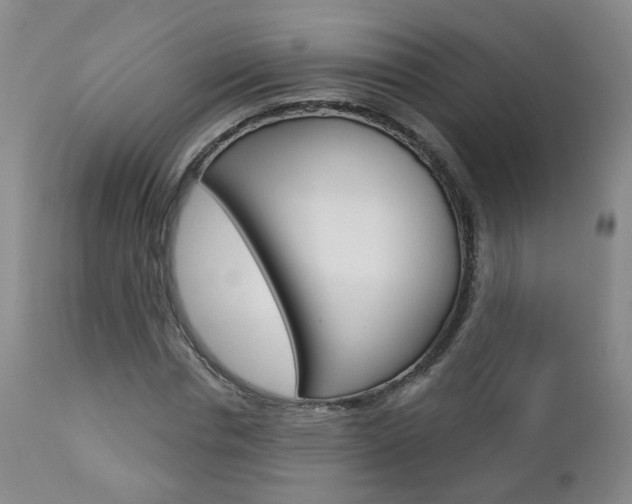 X0000112860826200908211053