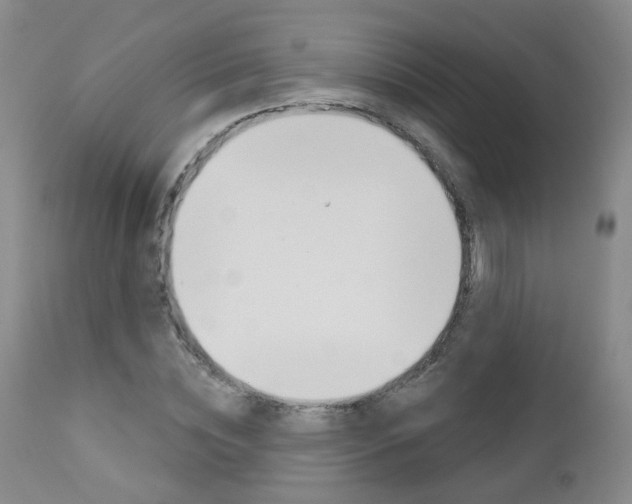 X0000112860828200908211053