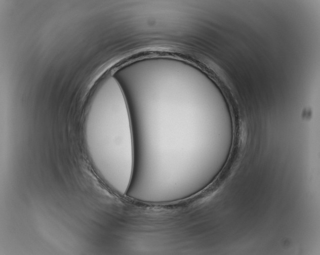 X0000112860829200908211053