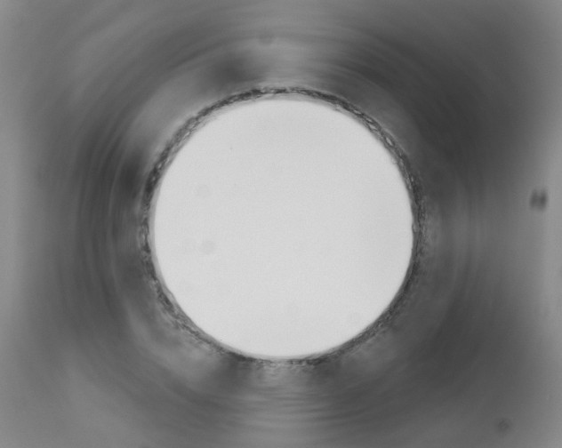 X0000112860832200908211053