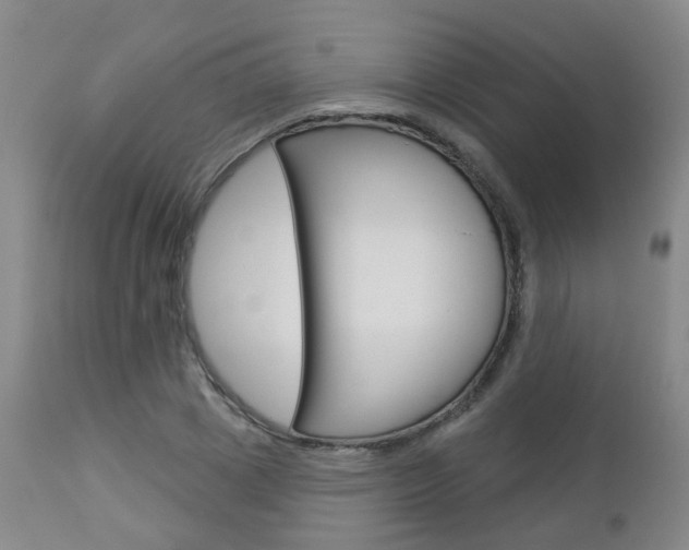 X0000112860833200908211053