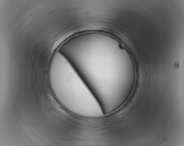 X0000112860834200908211053