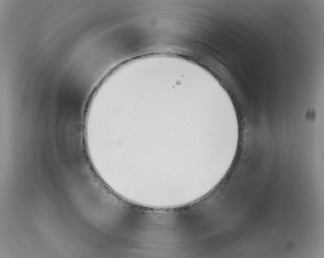 X0000112860836200908211053