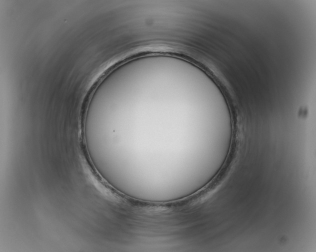 X0000112860837200908211053