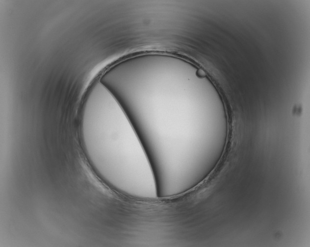X0000112860838200908211053