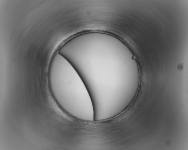 X0000112860840200908211053