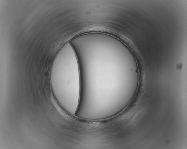 X0000112860841200908211053