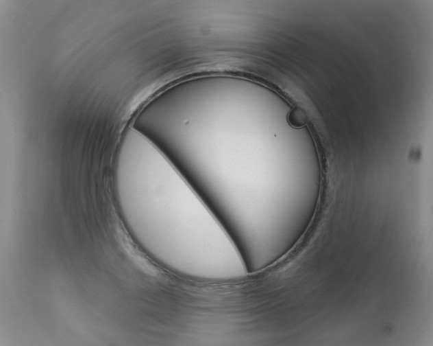 X0000112860842200908211053