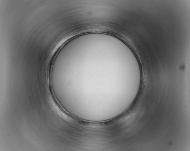 X0000112860843200908211053