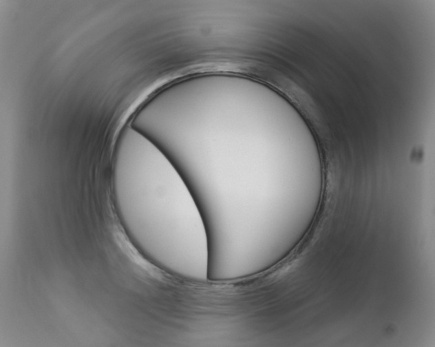 X0000112860844200908211053