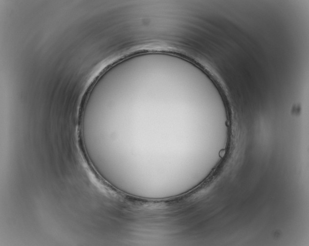X0000112860845200908211053