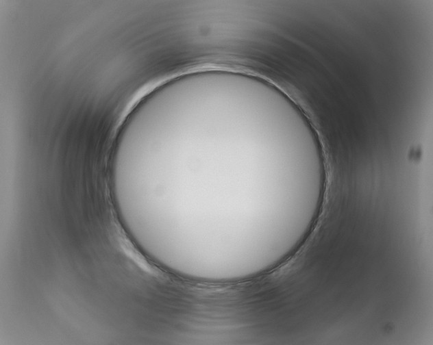 X0000112860846200908211053