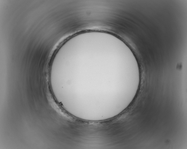 X0000112860848200908211053