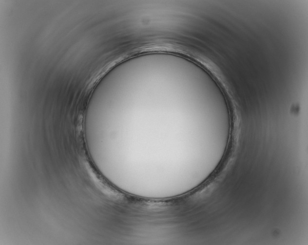 X0000112860849200908211053