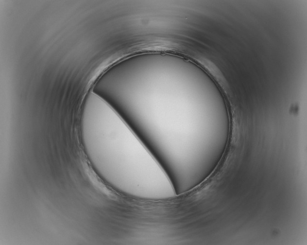 X0000112860850200908211053