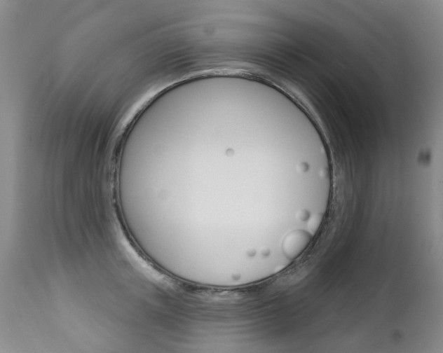 X0000112860851200908211053