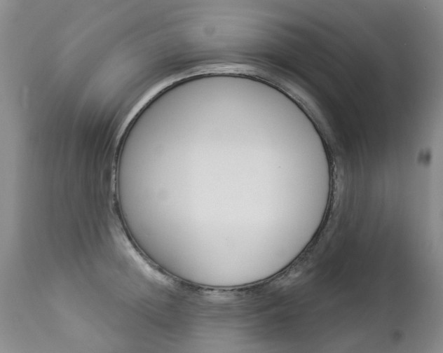 X0000112860852200908211053