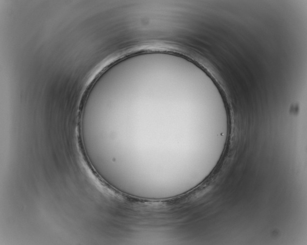 X0000112860853200908211053