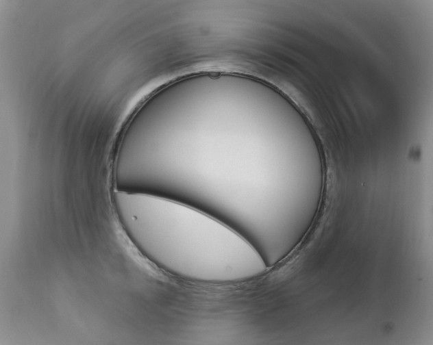 X0000112860854200908211053
