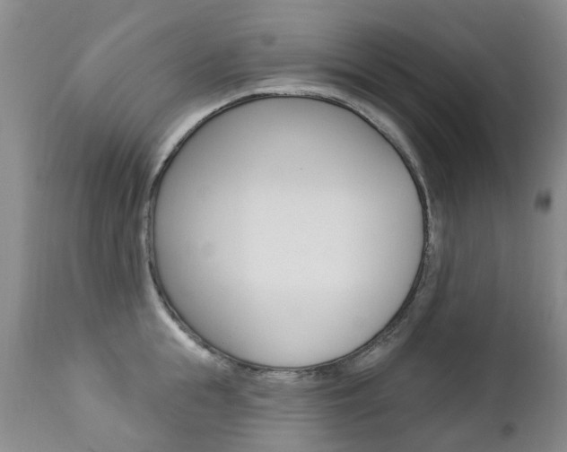 X0000112860855200908211053