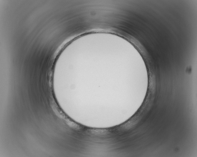 X0000112860856200908211053