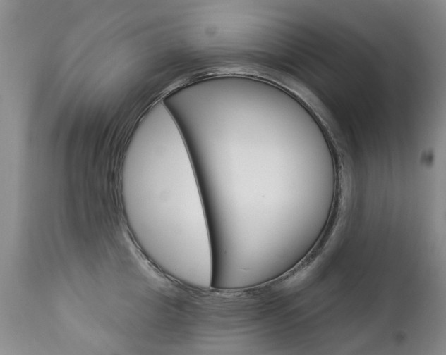 X0000112860857200908211053