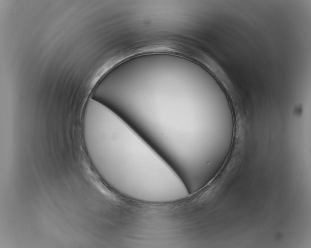 X0000112860858200908211053