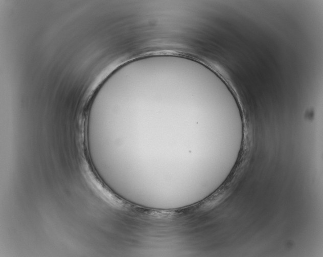 X0000112860859200908211053