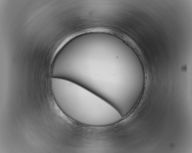 X0000112860860200908211053