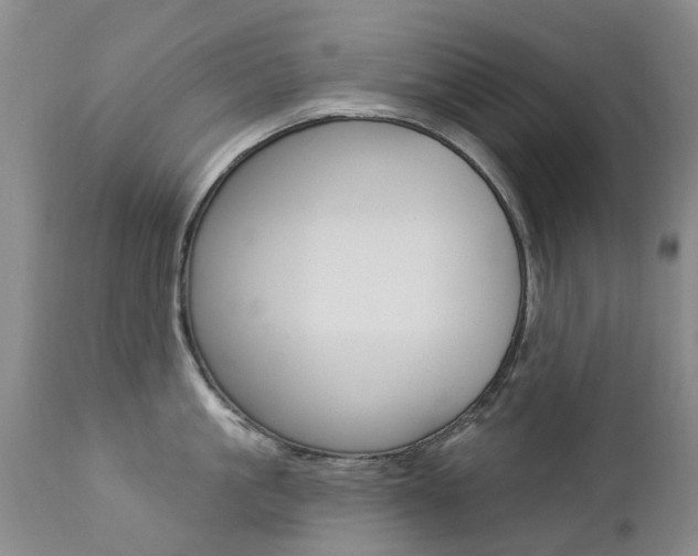 X0000112860861200908211053