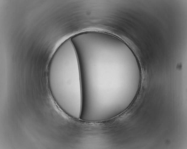 X0000112860862200908211053