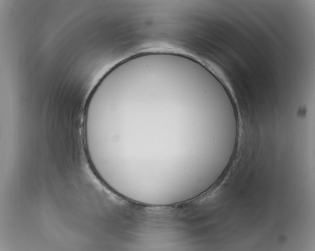 X0000112860863200908211053
