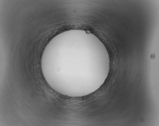 X0000112860865200908211053