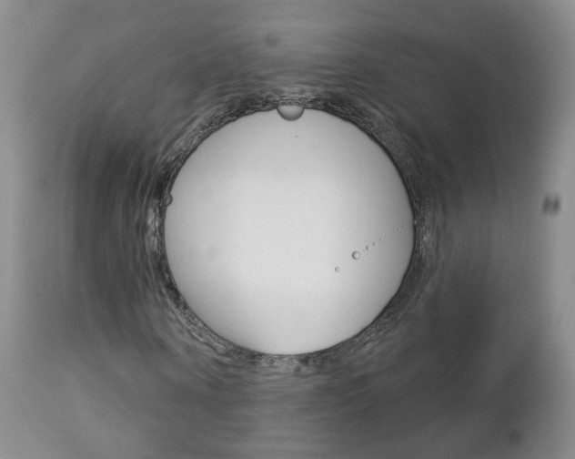 X0000112860866200908211053