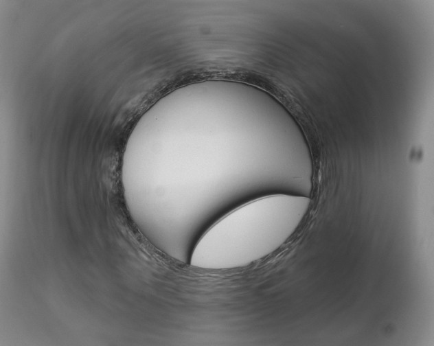 X0000112860867200908211053