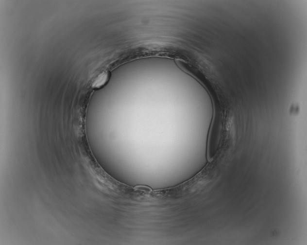 X0000112860868200908211053