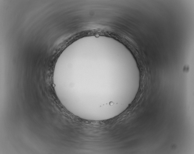 X0000112860869200908211053