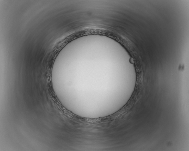 X0000112860870200908211052