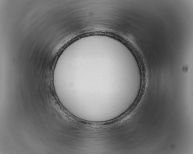 X0000112860873200908211052