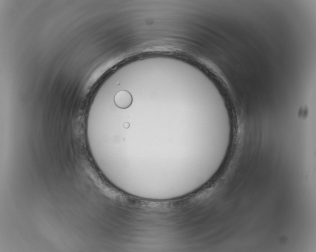 X0000112860874200908211052