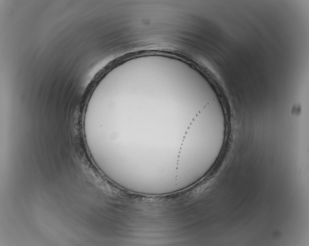 X0000112860875200908211052