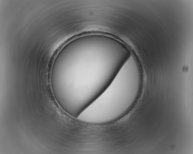 X0000112860877200908211052