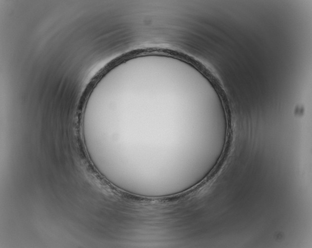 X0000112860879200908211052
