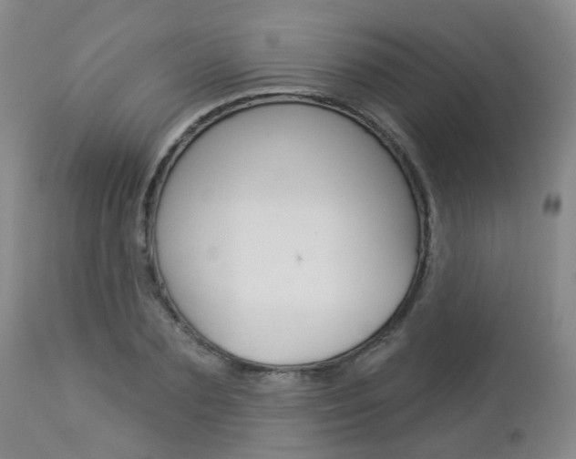 X0000112860883200908211052
