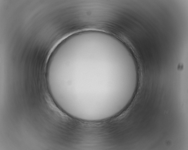 X0000112860884200908211052