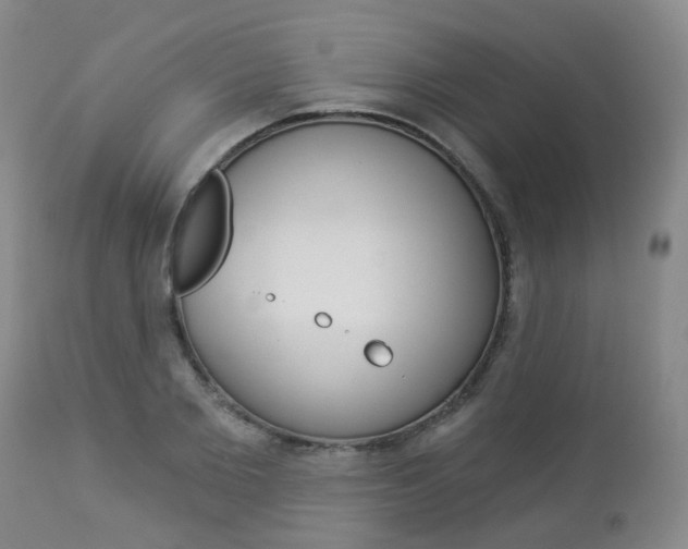 X0000112860885200908211052