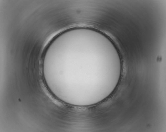 X0000112860886200908211052