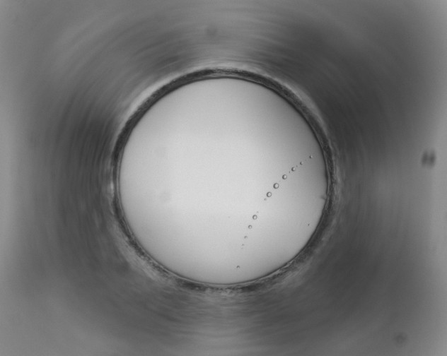 X0000112860887200908211052