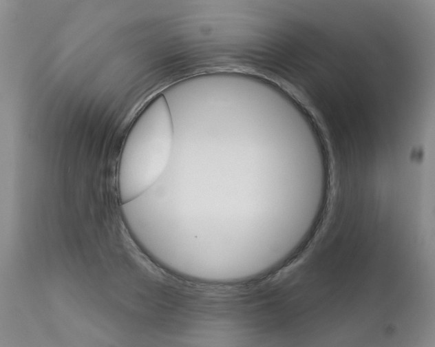 X0000112860889200908211052