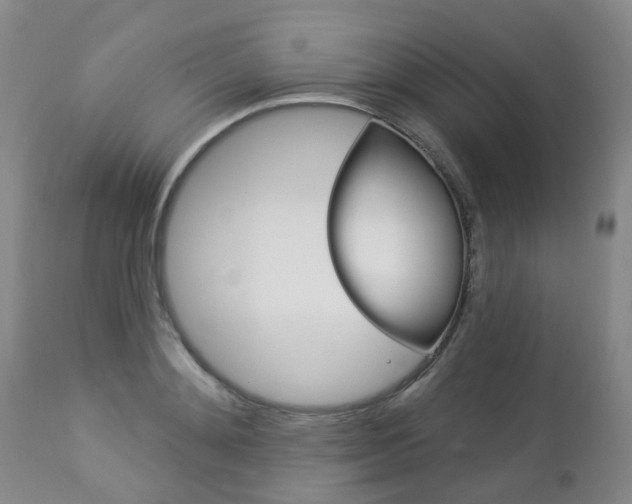 X0000112860892200908211052